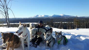 The image depicts a person sitting in the snow with five white and grey huskies, surrounded by a snowy landscape and mountains in the background on a sunny day.