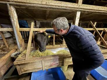Dans une grange en bois, un homme vêtu d'une veste bleue caresse doucement la tête d'une vache. Celle-ci mange du foin, entourée de mangeoires.