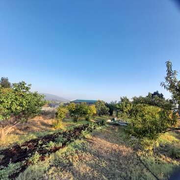 A clear blue sky overlooks a sunny garden filled with green trees, shrubs, and a small cultivated patch. A distant building stands among natural beauty.