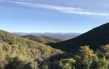 Esta imagen muestra un paisaje con ondulantes colinas verdes cubiertas de árboles, bajo un cielo azul despejado con nubes difusas y montañas lejanas a la vista.