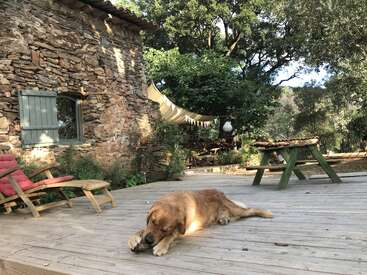 Un golden retriever se relaja en una terraza de madera, mordisqueando algo. Hay una casa rústica de piedra, una mesa de picnic, tumbonas y coloridos banderines en un entorno tranquilo.