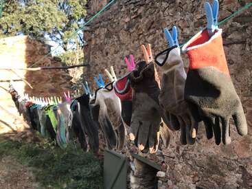 Numerosos guantes de trabajo de varios colores cuelgan de un tendedero con pinzas de colores, secándose a la luz del sol contra un rústico muro de piedra y vegetación exterior.
