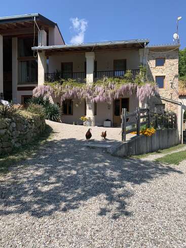 Una encantadora casa de campo con enredaderas de glicinas, camino de grava y flores florecientes. Dos gallinas deambulan por delante, bajo un cielo azul brillante con luz solar.