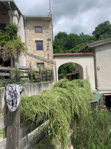 Frisch gemähtes Gras trocknet auf einem Holzzaun neben rustikalen Stein- und Stuckhäusern. In der Nähe hängt ein kariertes Hemd. Über uns sind Bäume und ein bewölkter Himmel.