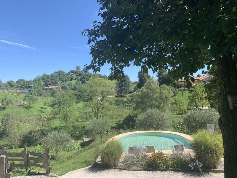 Una serena escena campestre con una pequeña piscina redonda, rodeada de exuberante vegetación, árboles, casas lejanas, un cielo azul despejado y un apacible paisaje rural.