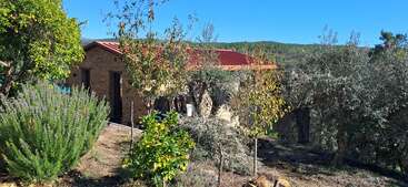 Ein charmantes Steinhaus mit rotem Ziegeldach steht an einem sonnigen Tag mit strahlend blauem Himmel, umgeben von üppigem Grün, Sträuchern und Bäumen.