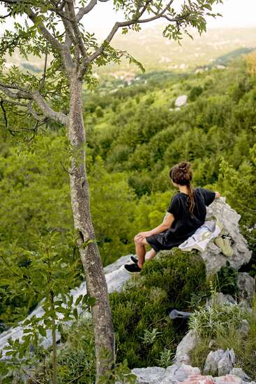 A person sits on a rock, overlooking a lush forest and distant houses, with a tree trunk to their left and a serene natural landscape.