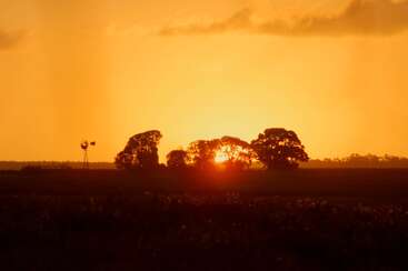 Das Bild zeigt eine ruhige Sonnenuntergangsszene mit Bäumen und einer Windmühle in der Ferne vor einem leuchtend orangefarbenen Himmel.