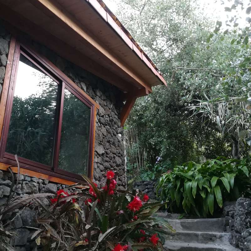 La imagen representa el lateral de una casa de piedra con una ventana y adornos de madera, rodeada de exuberante vegetación y vibrantes flores rojas.