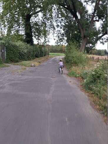 Un niño con casco monta en bicicleta por una tranquila carretera rural bordeada de árboles. La escena transmite paz y está rodeada de una exuberante naturaleza verde.