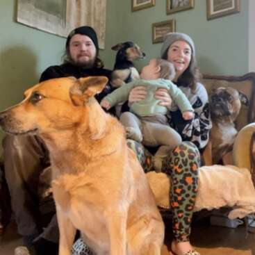 Uma cena familiar aconchegante mostra dois adultos, um bebê e três cachorros sentados juntos no sofá de uma sala de estar decorada com um toque aconchegante e cheia de amor.