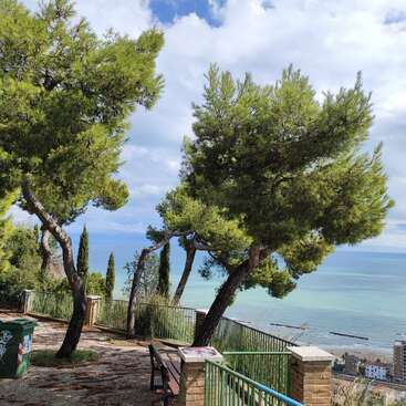 De grands pins verts bordent une terrasse en bord de mer qui surplombe une mer bleue et sereine. Un banc et une poubelle se trouvent à proximité, sous un ciel partiellement nuageux. Un cadre paisible.