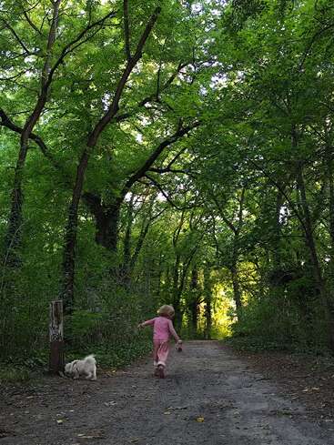 Ein kleines, rosa gekleidetes Kind läuft fröhlich mit einem angeleinten Hund einen Waldweg entlang, während das Sonnenlicht durch die dichten grünen Bäume über ihm fällt.