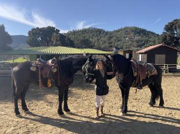 Une personne se tient entre deux grands chevaux noirs dans un ranch ensoleillé en plein air. Les chevaux sont sellés. Des collines verdoyantes et des écuries sont visibles à l'arrière-plan.