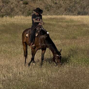Um cowboy com chapéu e camisa pretos está sentado tranquilamente em um cavalo marrom que pasta em um campo gramado, cercado por uma paisagem seca e montanhosa e arbustos.