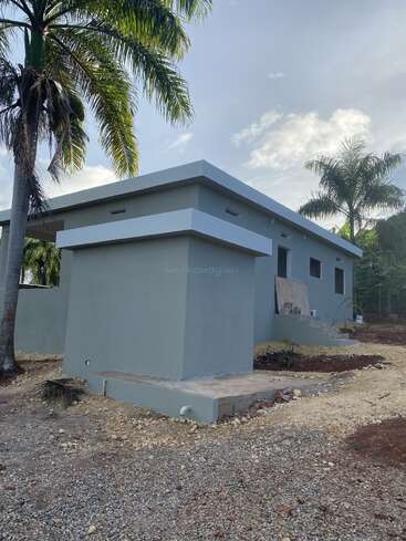 This image shows a modern, light grey house with a flat roof, surrounded by palm trees. There is unfinished landscaping and a gravel path leading up.
