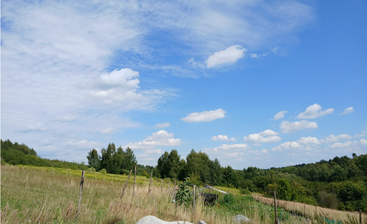 Eine ruhige, ländliche Landschaft mit hohem Gras, verstreuten Bäumen, sanften grünen Hügeln und einem strahlend blauen Himmel mit flauschigen weißen Wolken an einem sonnigen Tag.