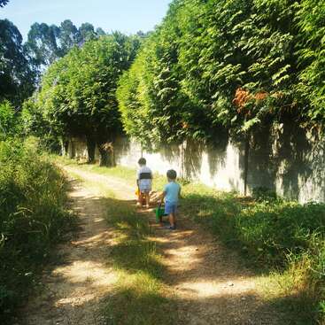 Deux jeunes enfants marchent sur un chemin de terre éclairé par le soleil, à côté de grands buissons verts et d'un mur en béton, chacun portant un jouet coloré, profitant d'une journée paisible.