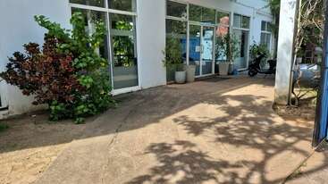 Esta imagem mostra um caminho iluminado pelo sol do lado de fora de um edifício com grandes janelas de vidro, vasos de plantas, arbustos verdes e uma scooter estacionada ao lado da entrada. As sombras caem.