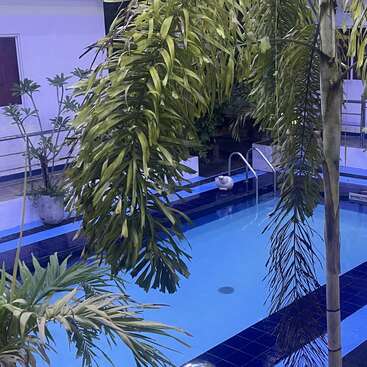 This image shows a serene swimming pool surrounded by lush green tropical plants, palm trees, blue tiles, and potted plants, creating a relaxing indoor atmosphere.