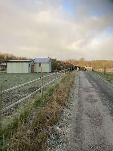A rural scene with a dirt road, wooden fences, frost-covered grass, and small light-green buildings under a cloudy sky. Trees line the background. Peaceful atmosphere.