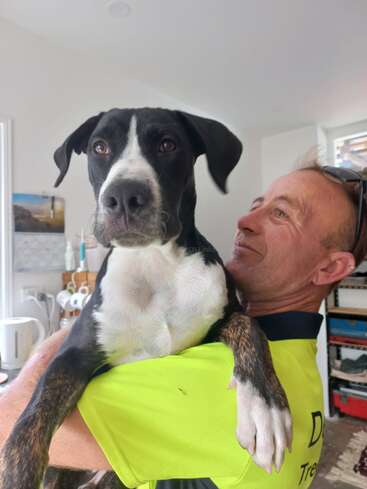 The image depicts a man cradling a black and white dog in his arms, set against a backdrop of a tidy room with white walls and a window.