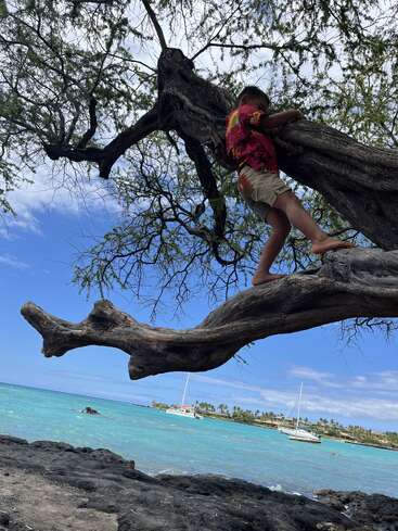 Un garçon pieds nus vêtu d'une chemise rouge grimpe à un grand arbre au bord de l'océan. L'eau turquoise, les rochers noirs et les voiliers créent une scène tropicale pittoresque.