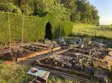 Ein sonnenbeschienener Gemüsegarten mit Hochbeeten, jungen Pflanzen, Holzstützen, Gartengeräten und Zubehör. Eine hohe grüne Hecke mit einem bogenförmigen Durchgang säumt den Hintergrund.