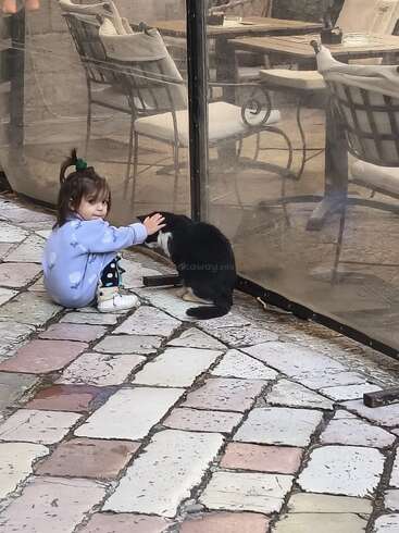 Uma menina com um suéter azul está sentada em um calçadão de pedras, acariciando gentilmente um gato preto e branco perto de um café ao ar livre com mesas e cadeiras vazias.