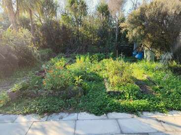 A lush, sunlit garden features raised beds filled with green plants and orange flowers, surrounded by trees and bushes. Blue containers sit in the background.
