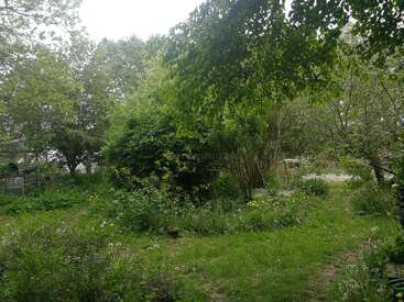L'image représente une scène de jardin sereine, avec de la verdure luxuriante, des fleurs éclatantes et un chemin de terre, avec un soupçon subtil de maison ou de bâtiment à l'arrière-plan.
