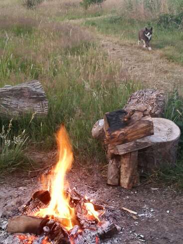 Das Bild zeigt eine ruhige Szene im Freien mit einem kleinen Lagerfeuer, einem Hund im Hintergrund und einem rustikalen Holzstuhl inmitten einer grasbewachsenen Wiese.