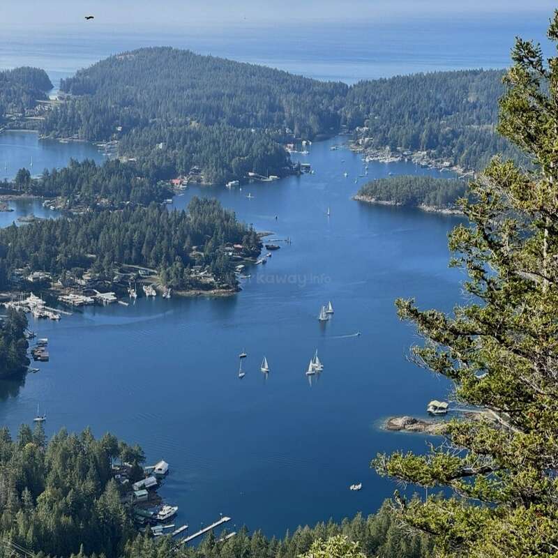 Esta pintoresca imagen muestra una hermosa ensenada costera rodeada de frondosos bosques verdes, salpicada de veleros, pequeños muelles y casas. Las tranquilas aguas reflejan la serenidad del paisaje.
