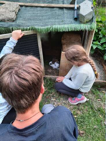 Three children observe a small rabbit inside an outdoor hutch. The hutch is covered with fabric and rocks, surrounded by grass and some plants on the side.