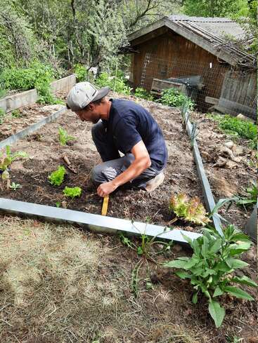 A person wearing a cap kneels in a vegetable garden, planting seedlings. Surrounded by greenery, wooden beds, and a small shed, he carefully tends the soil.