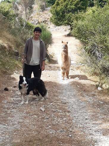 Um menino sorridente está em um caminho rochoso, segurando um bastão, acompanhado por um cachorro preto e branco e uma lhama, cercado por natureza e vegetação.
