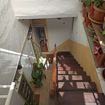 Esta imagen muestra una estrecha escalera interior con peldaños de madera, plantas en macetas sobre estanterías, puertas verdes, un pequeño pasillo y un atisbo de cuarto de baño. Se filtra la luz del sol.