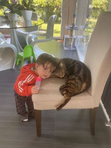 A young child in a red jacket leans affectionately against a tabby cat resting on a chair, holding a bottle in a sunlit, cozy room.