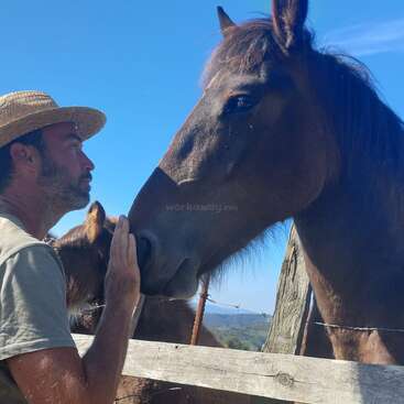 Un homme portant un chapeau de paille touche doucement le nez d'un cheval brun à une clôture en bois, avec un autre cheval et un ciel bleu clair derrière.
