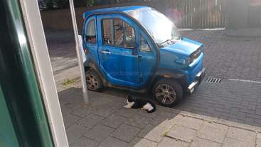 A small blue car is parked on a quiet street. A black and white cat is lying on the pavement beside the car, enjoying the sunlight.