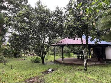 Un jardin luxuriant entoure un petit abri ouvert avec un toit en tôle rouge et des supports noirs. Les arbres et la verdure créent une atmosphère paisible et naturelle, propice à la détente.