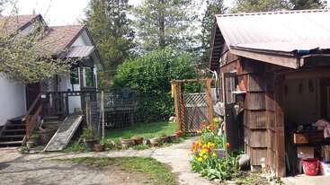 Ein gemütlicher Hof mit einem Holzschuppen, blühenden Tulpen, Topfpflanzen, einem umzäunten Gartenbereich und einem urigen, von Bäumen umgebenen Haus unter strahlend blauem Himmel.