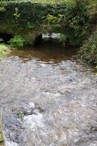 A imagem mostra uma cena serena de um rio com uma ponte de pedra coberta por uma vegetação exuberante, cercada por uma folhagem vibrante e um fluxo suave de água.