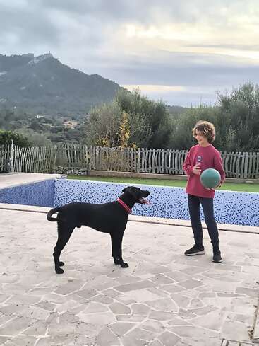 A child in a red sweater stands by an empty pool, holding a green ball, while a black dog with a pink collar eagerly waits nearby. Mountains in background.