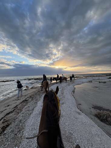 Au coucher du soleil, sous un ciel nuageux spectaculaire, un groupe de personnes chevauche le long d'une plage de sable parsemée de coquillages, offrant ainsi une escapade côtière paisible et pittoresque.