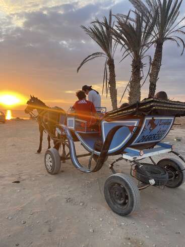 Une calèche avec des passagers est garée sur une plage de sable au coucher du soleil ; les palmiers tout proches projettent de longues ombres, créant ainsi une scène paisible et pittoresque.