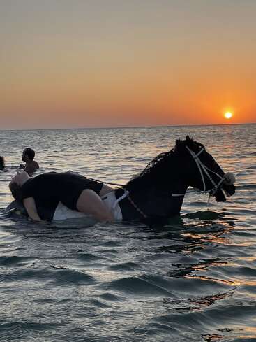 Une personne est allongée sur un cheval partiellement immergé dans une eau calme au coucher du soleil, tandis que d'autres personnes nagent à proximité, créant ainsi une scène de plage paisible et sereine.