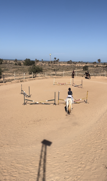 Dans un manège extérieur sablé, deux cavaliers s'entraînent au saut d'obstacles. Un ciel bleu limpide, des palmiers au loin et un paysage dégagé créent un cadre paisible et grandiose.