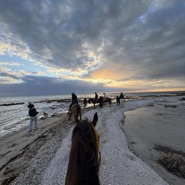 Eine Gruppe von Menschen reitet bei Sonnenuntergang unter einem dramatischen, bewölkten Himmel an einem sandigen, mit Muscheln übersäten Strand entlang – ein friedliches und malerisches Abenteuer an der Küste.