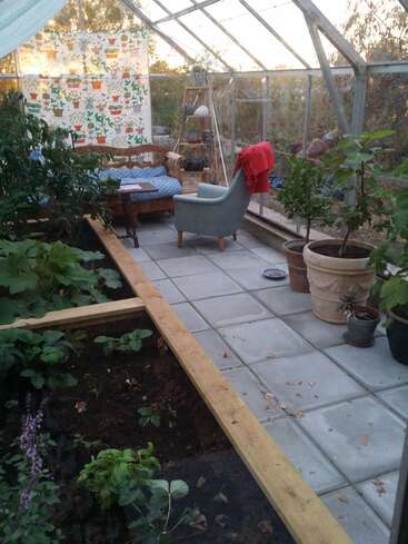 L'image représente une serre sereine avec un coin salon confortable, comprenant un banc en bois, un fauteuil et des plantes, entouré d'une verdure luxuriante et d'une atmosphère tranquille.